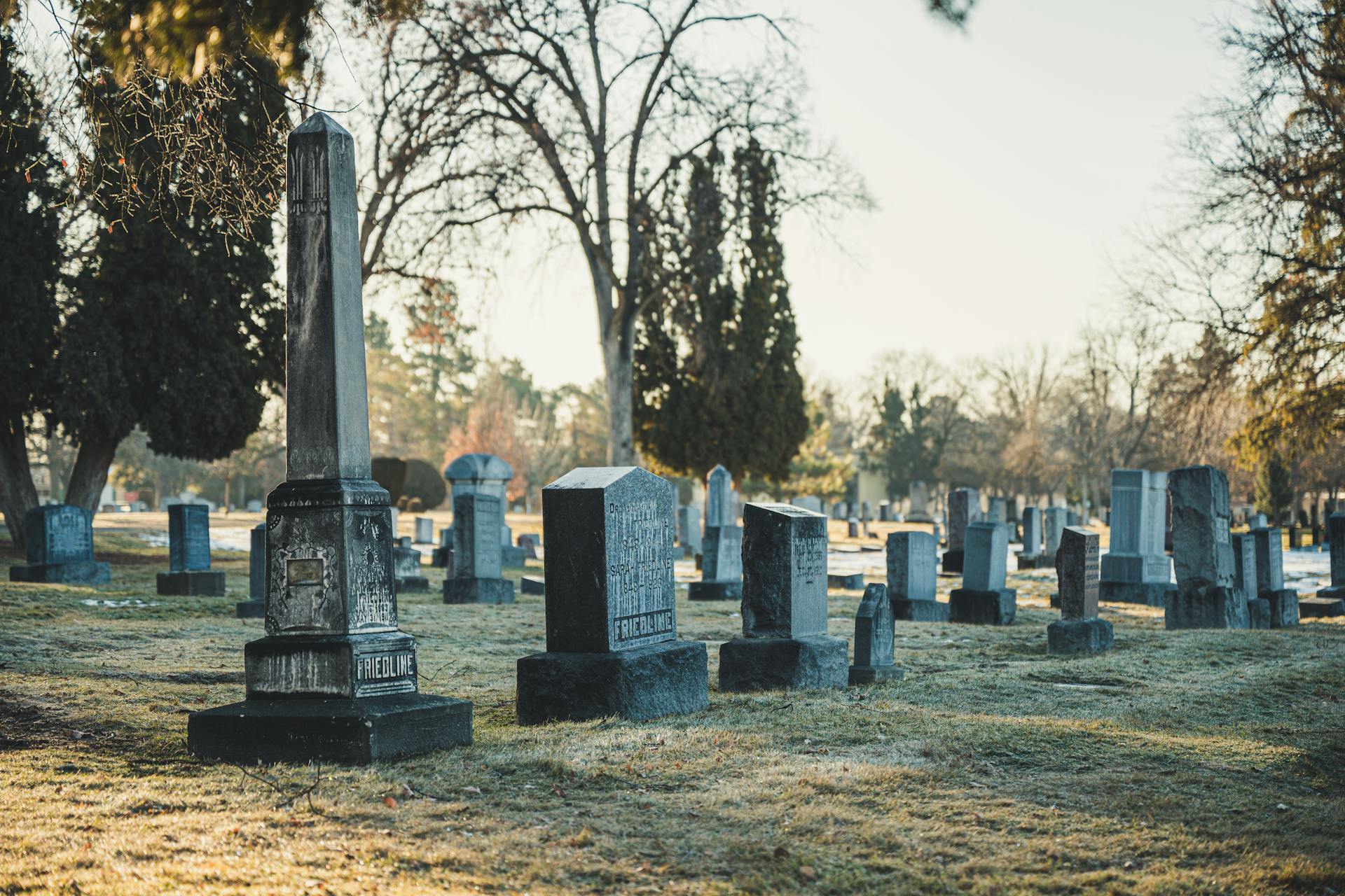 pexels-photo-3653998
